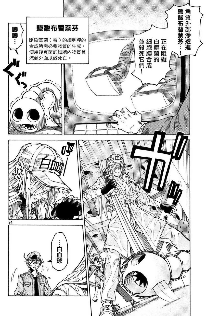 第24页