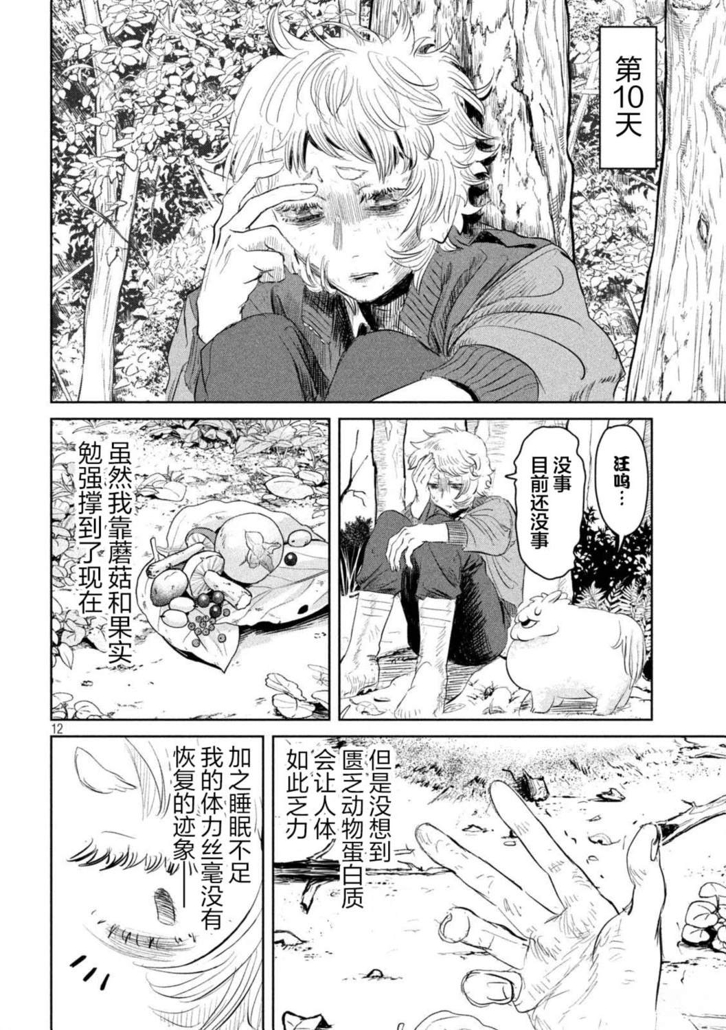 第12页