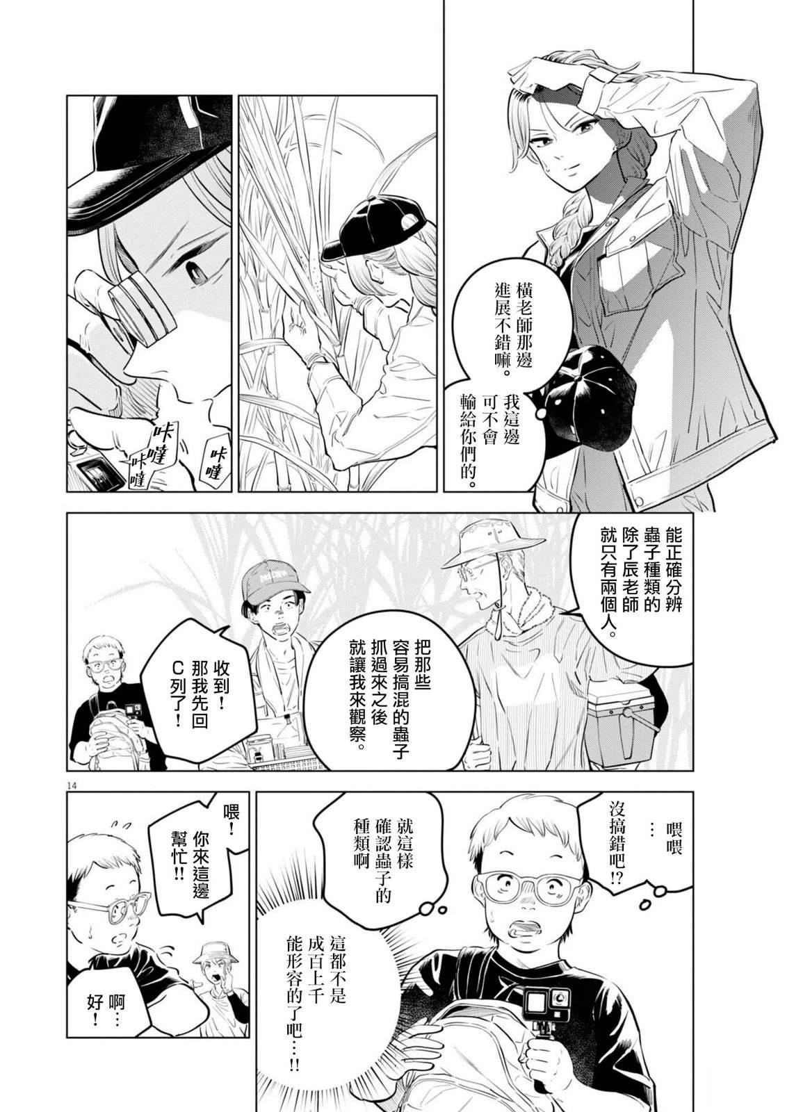 第13页