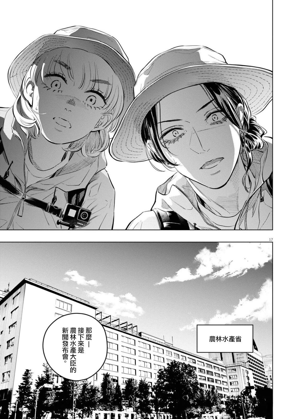 第17页