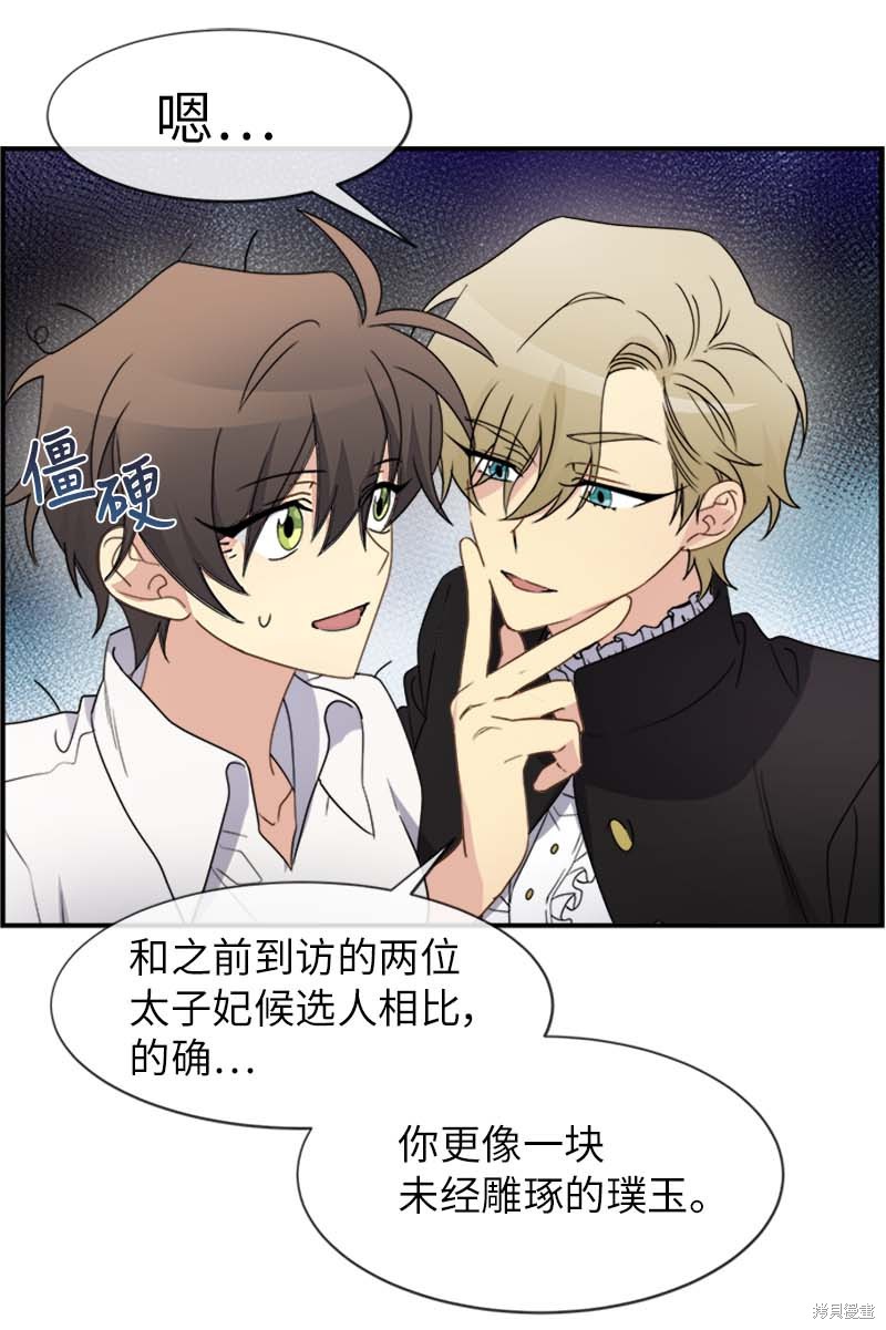 第51页